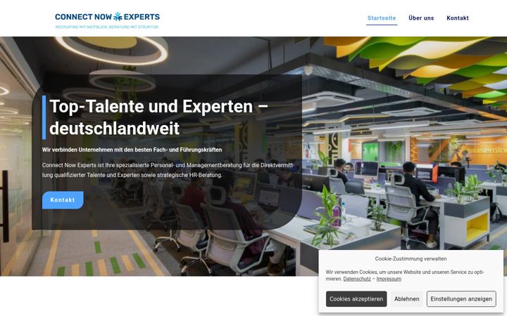 Screenshot of cn-experts.de