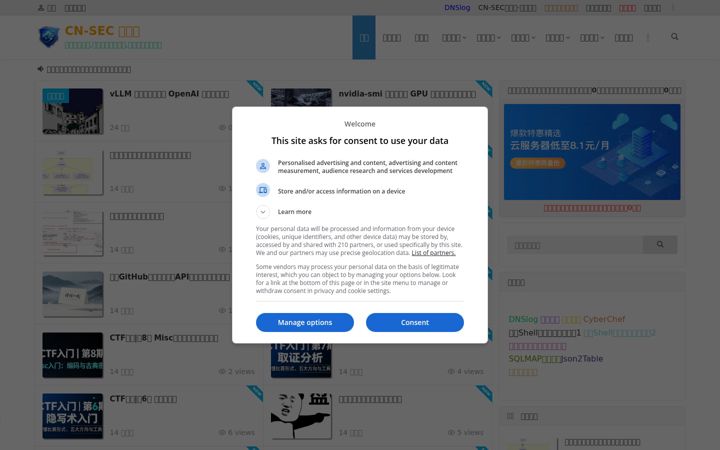 Screenshot of cn-sec.com