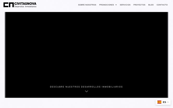 Screenshot of cndesarrollosinmobiliarios.es