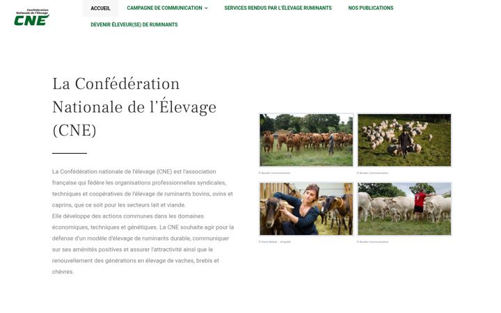 Screenshot of cne-elevagesruminants.fr
