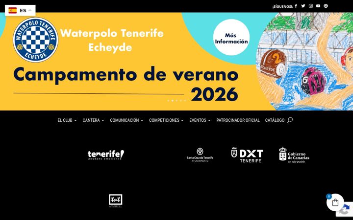 Screenshot of cnecheyde.com