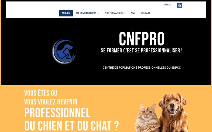 Screenshot of cnfpro.fr