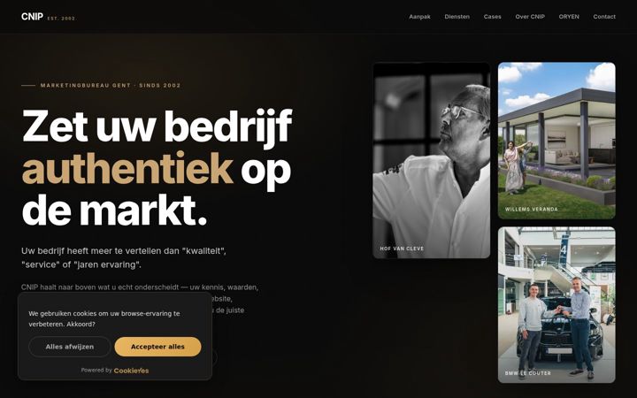 Screenshot of cnip-agency.com