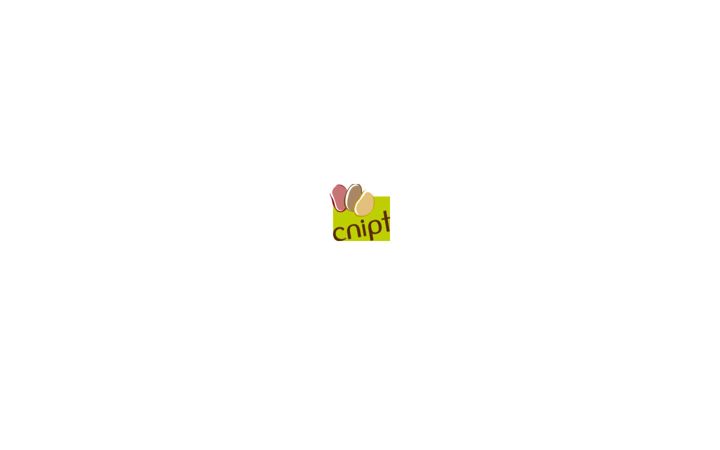 Screenshot of cnipt.fr