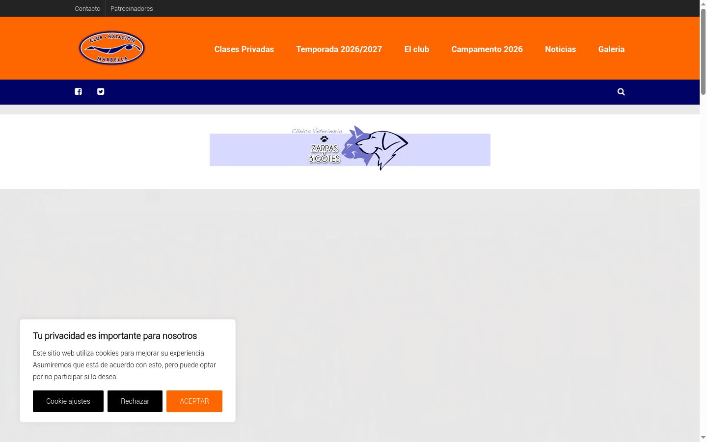 Captura de ecrã do banner de consentimento apresentado antes de qualquer interação
