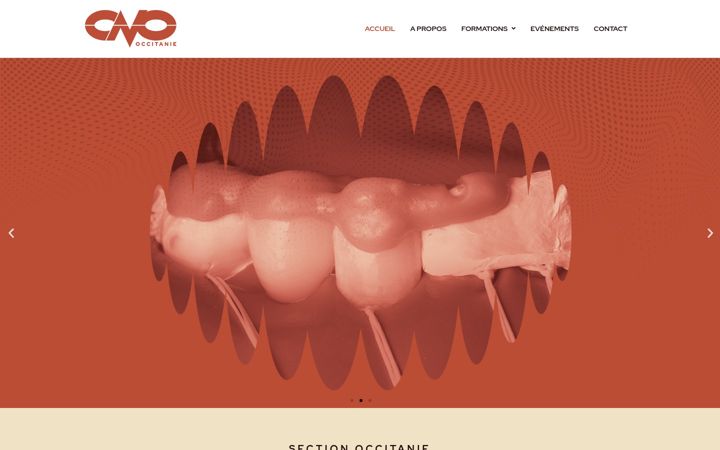 Capture d'écran de cno-occitanie.fr