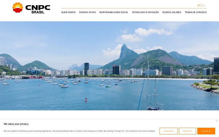 Posnetek zaslona cnpcbrasil.com.br