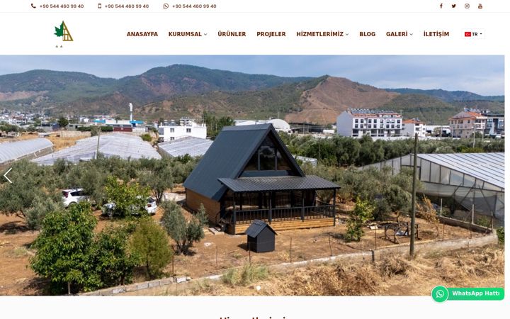Screenshot of cnrahsapev.com