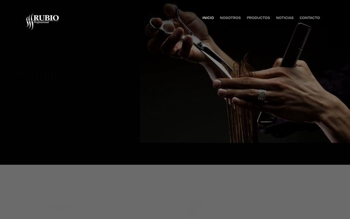 Screenshot of cnrubio.com