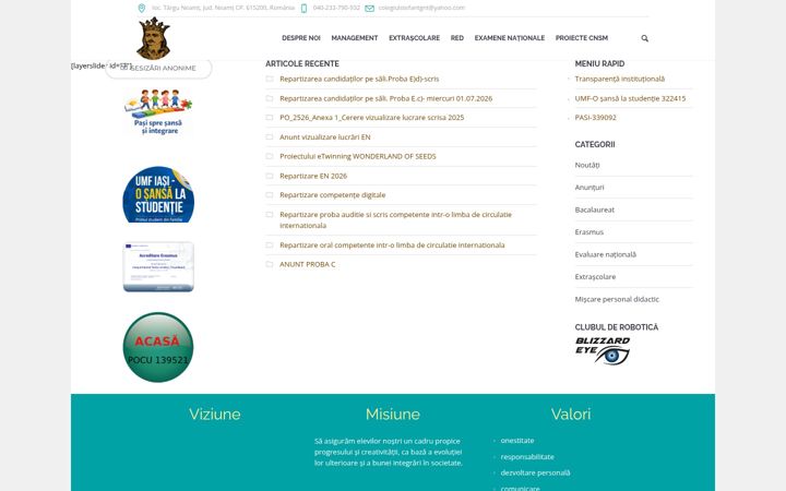 Screenshot of cnsm.ro