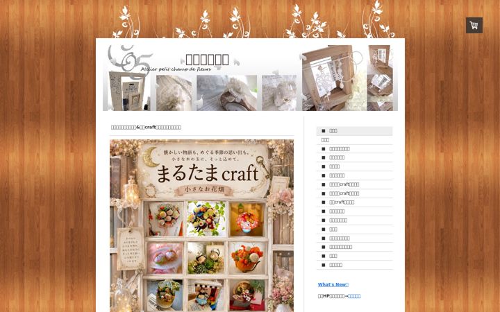 Screenshot of co-51.com