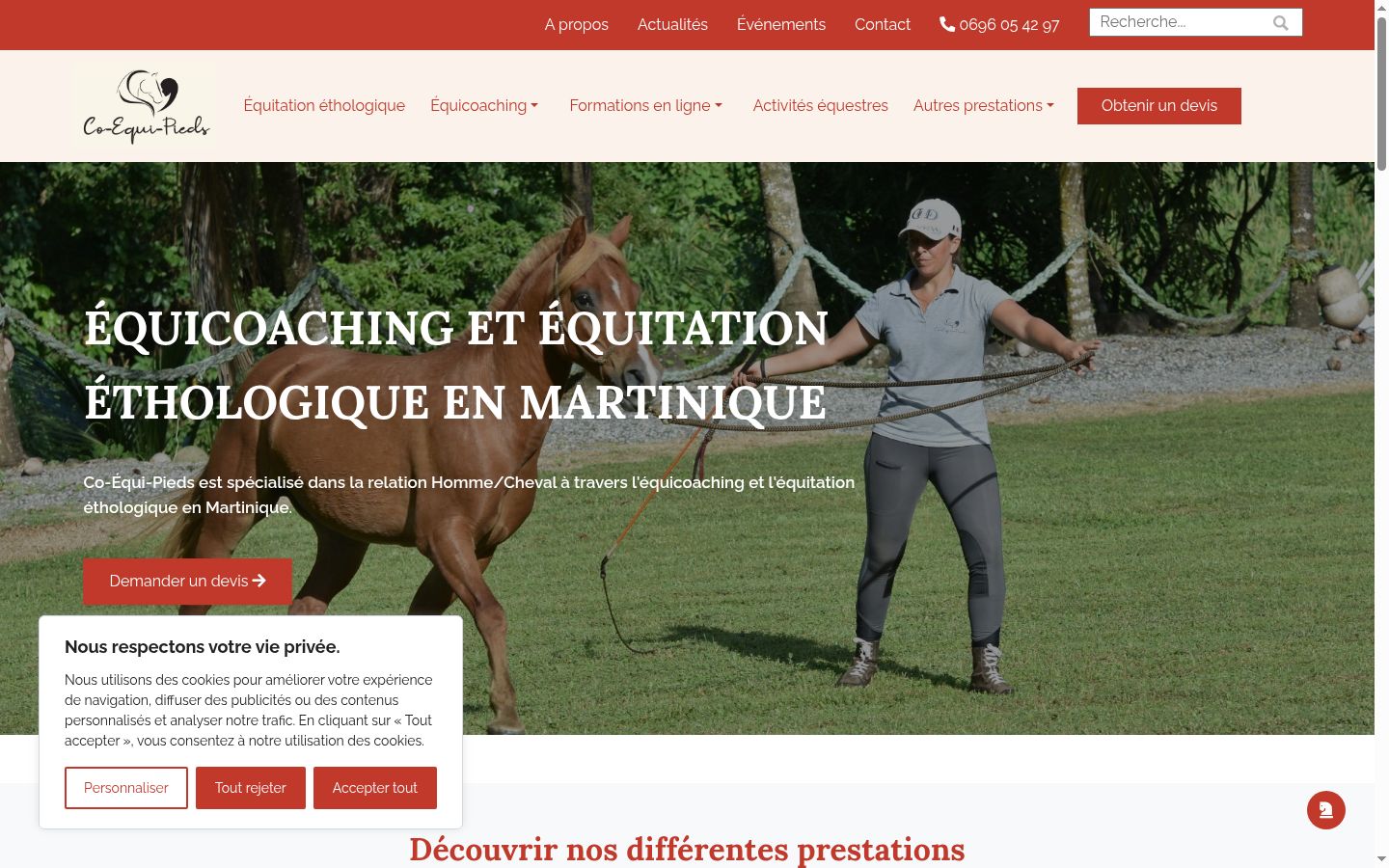 Capture d'écran de la bannière de consentement affichée avant toute interaction