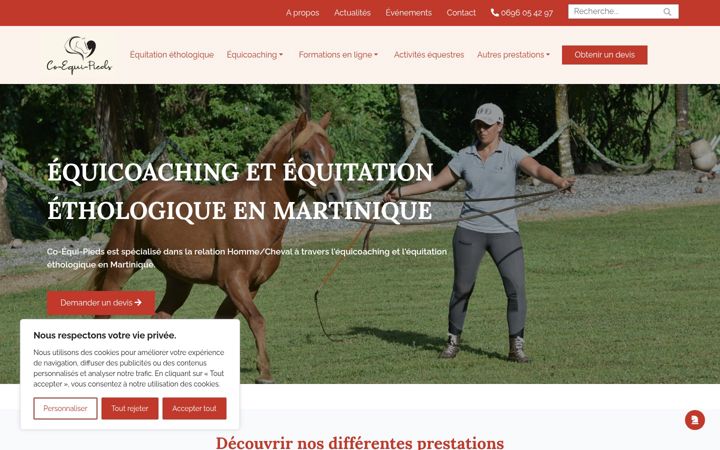 Capture d'écran de co-equi-pieds.fr