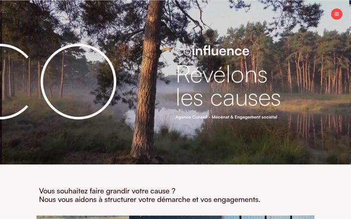Screenshot of co-influence.com