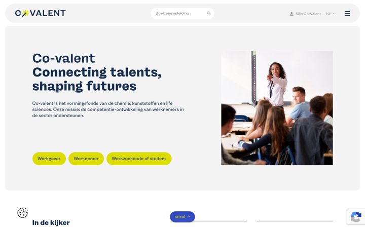 Screenshot of co-valent.be
