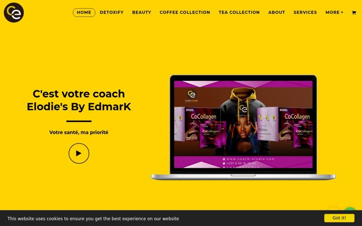 Screenshot of coach-elodie.com