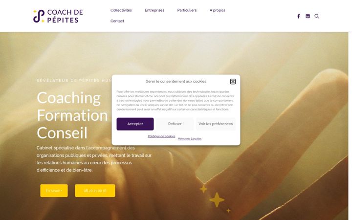 Screenshot of coachdepepites.com