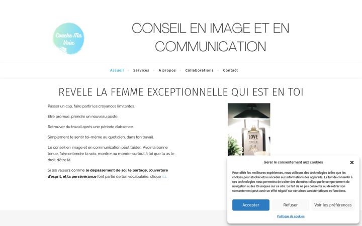 Capture d'écran de coachemavoix.fr