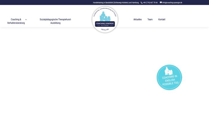 Screenshot of coaching-synergie.de