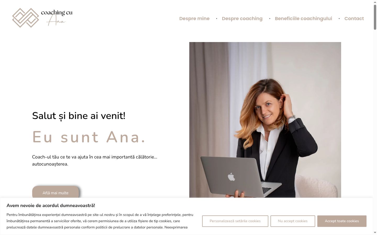 Screenshot of the consent banner shown before any interaction