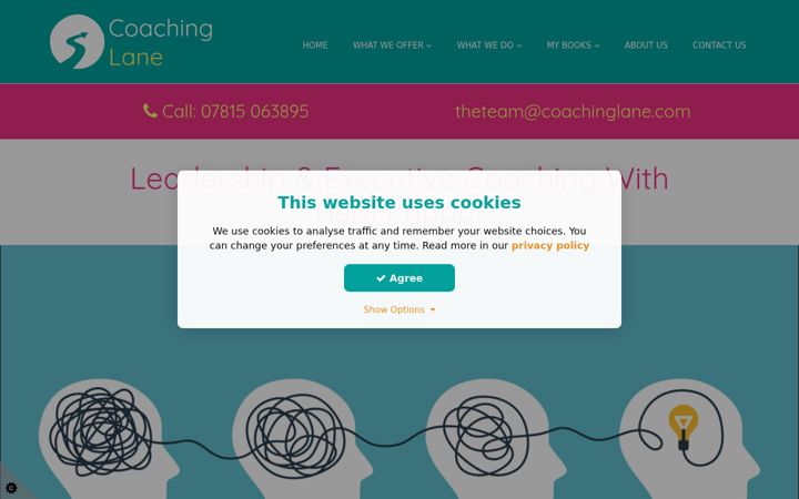 Screenshot of coachinglane.com