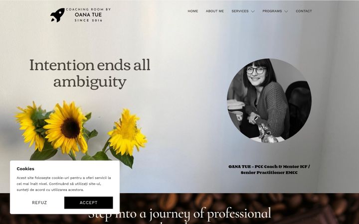 Screenshot of coachingroombyoanatue.com