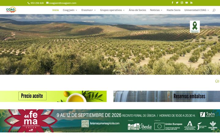 Skärmbild av coagjaen.es