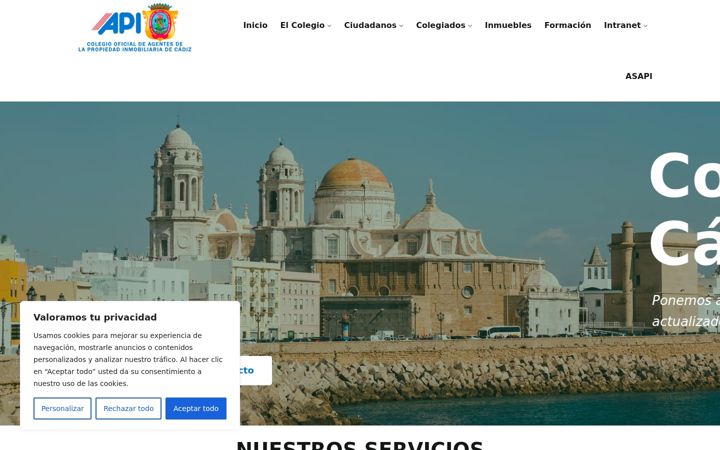 Screenshot of coapicadiz.com