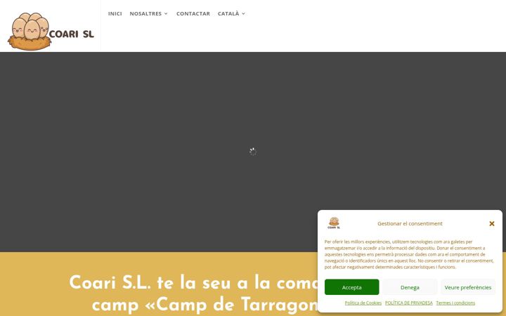 Screenshot of coarisl.com