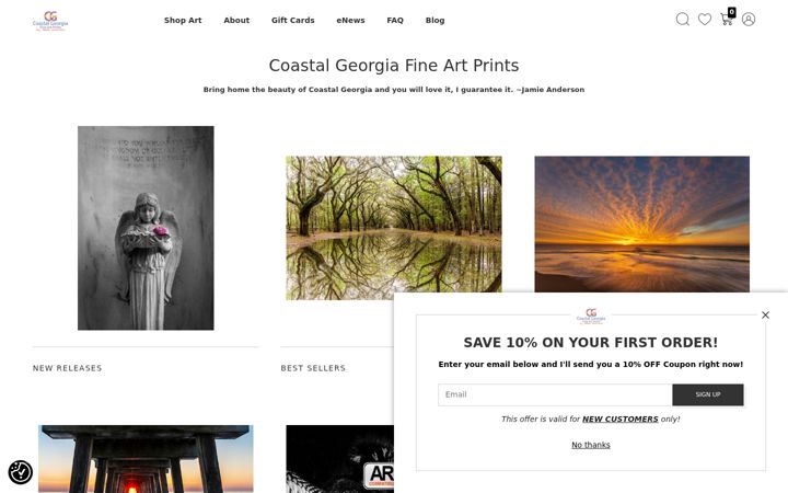 Screenshot of coastalgeorgiaprints.com