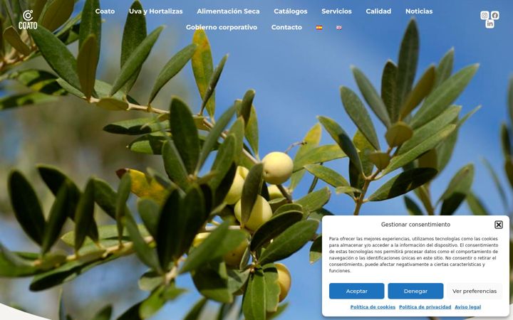 Screenshot of coato.com