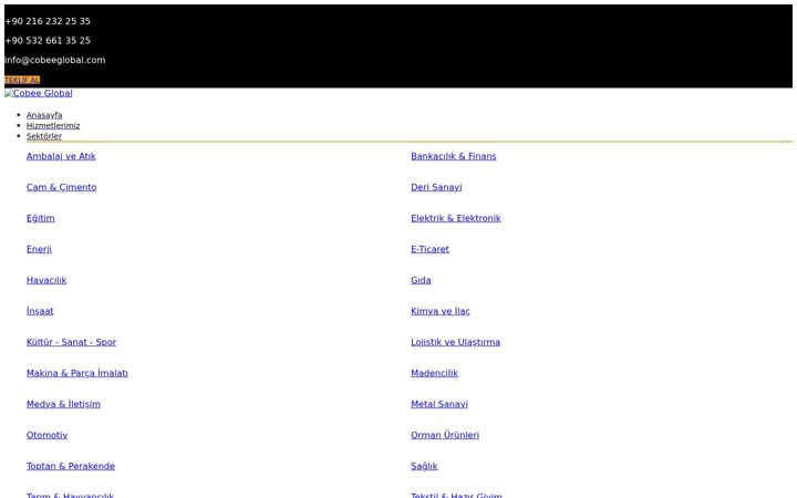 Екранна снимка на cobeeglobal.com.tr
