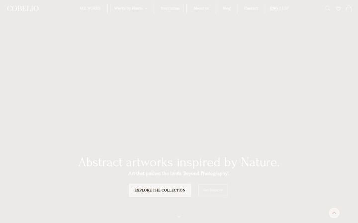 Screenshot of cobelio.com