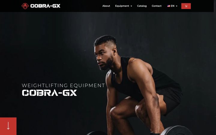 Screenshot of cobra-gx.com