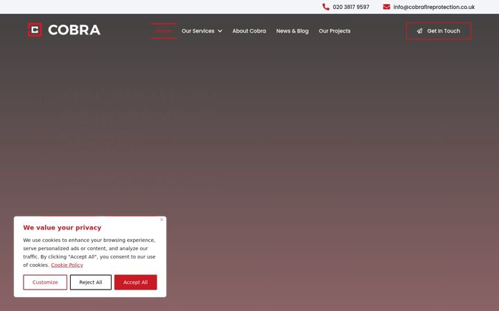 Screenshot of cobracompany.co.uk
