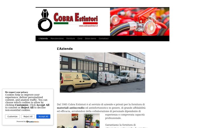 Screenshot of cobraestintori.it