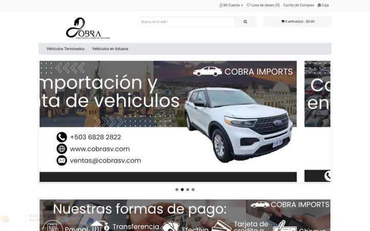 Screenshot of cobrasv.com