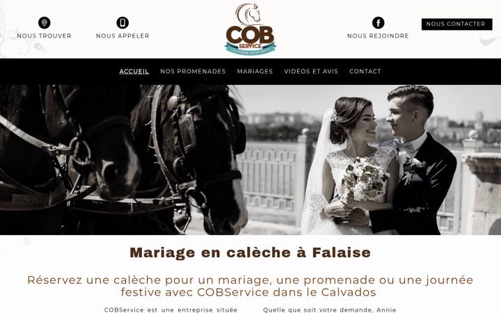 Screenshot of cobservices.fr