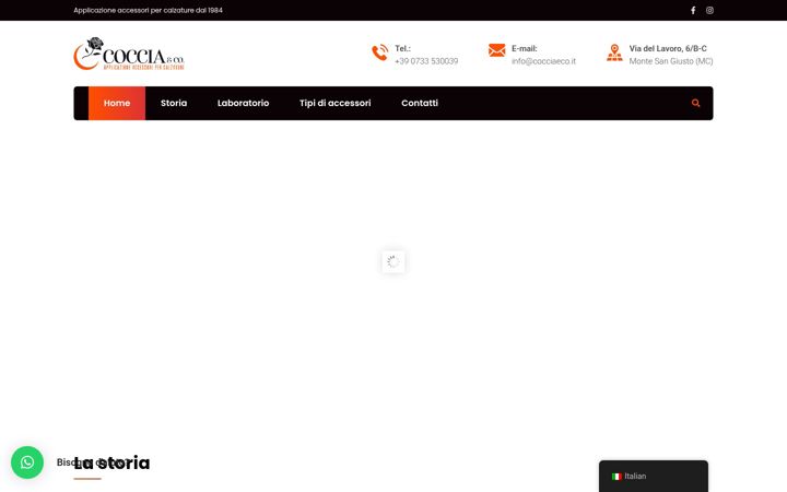 Screenshot ta' cocciaeco.it