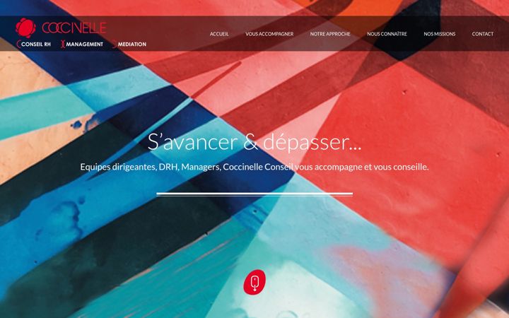 Screenshot of coccinelle-conseil.fr