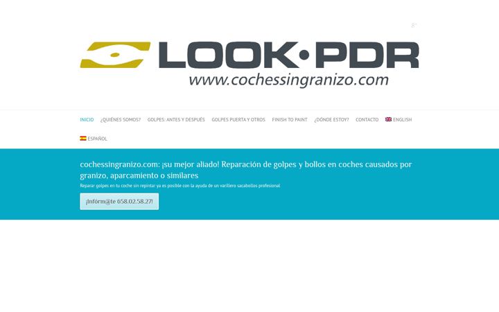 Screenshot of cochessingranizo.com