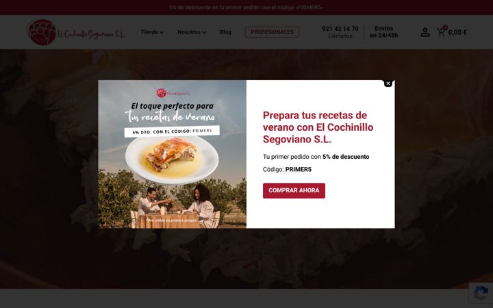 cochinillosegoviano.com