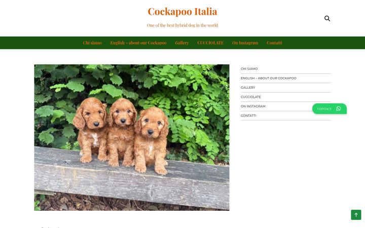 Screenshot of cockapooitalia.com