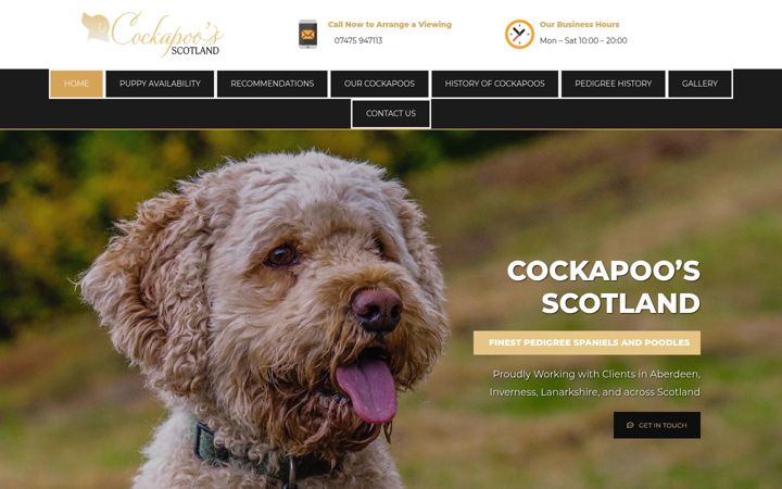 Screenshot of cockapoosforsale.co.uk