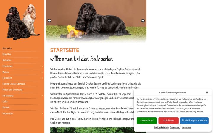Screenshot of cocker-jakob.de