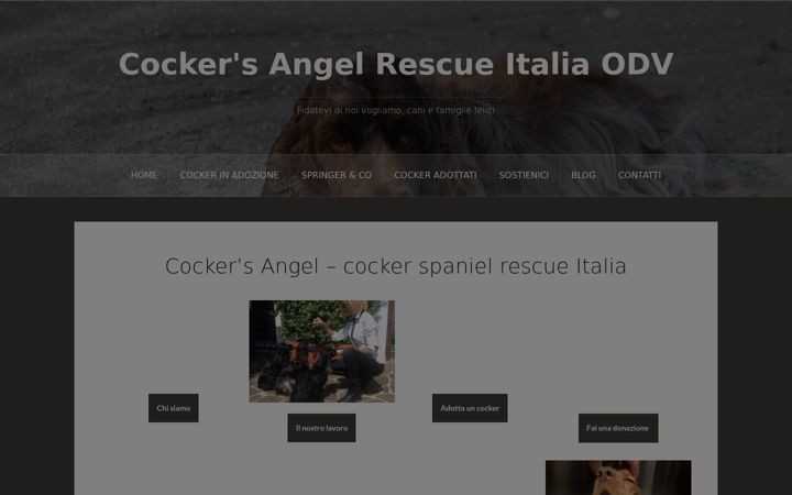 Screenshot ta' cockersangel.it