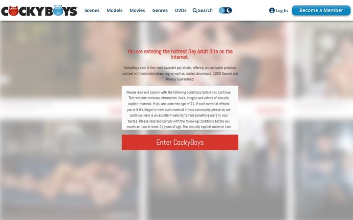 Screenshot of cockyboys.com