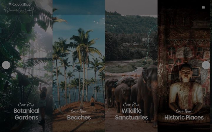 Screenshot of cocobluetravels.com