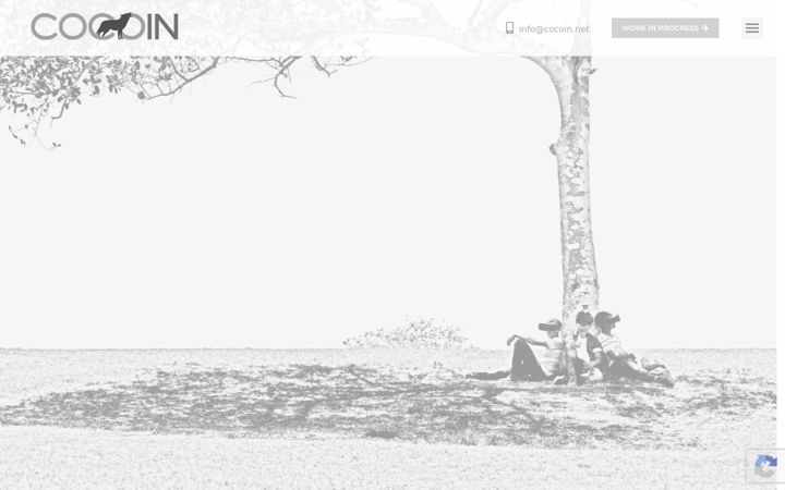 Screenshot of cocoin.net