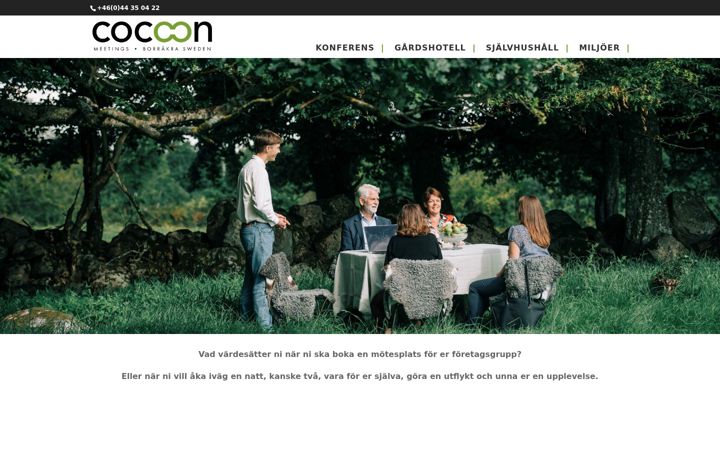 Screenshot of cocoonmeetings.com